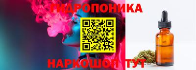 ешки Гай