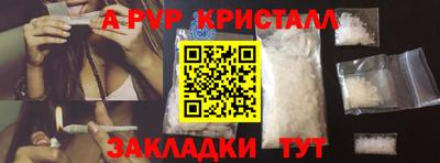ешки Гай