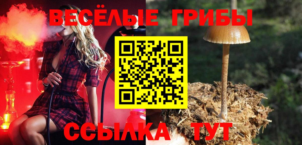 Псилоцибиновые грибы GOLDEN TEACHER  Вход с VPN  Дятьково 
